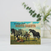North Dakota Nokota Pferde Postkarte (Stehend Vorderseite)