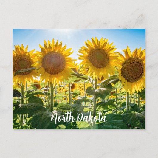 North Dakota Postcard Postkarte (Vorderseite)