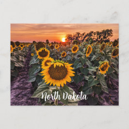 North Dakota Postcard Postkarte