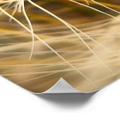 North Dakota Wheat Poster (Ecke)