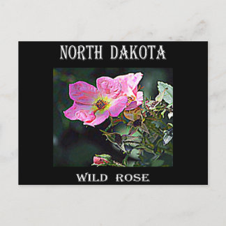 North Dakota Wild Rose Postkarte