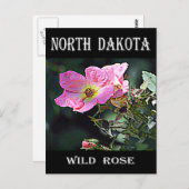 North Dakota Wild Rose Postkarte (Vorne/Hinten)