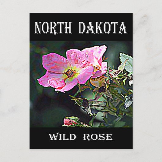 North Dakota Wild Rose Postkarte (Vorderseite)