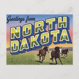 North Dakota Wildpferde-Prärie Postkarte
