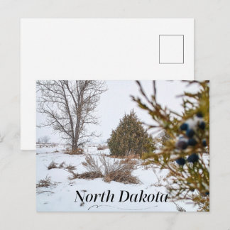 North Dakota Winter Schneesturm Postkarte