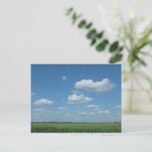 North- Dakotamais-Feld Postkarte (Stehend Vorderseite)