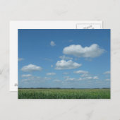 North- Dakotamais-Feld Postkarte (Vorne/Hinten)