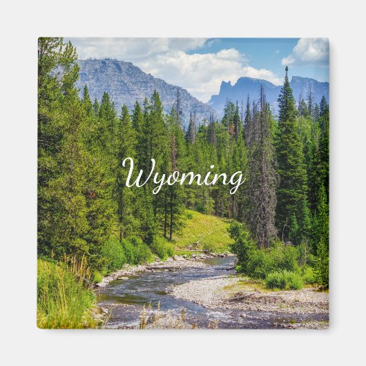 North Fork Shoshone Magnet (Vorne)