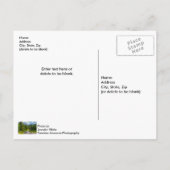 North Fork Shoshone River Blank Post Card Postkarte (Rückseite)