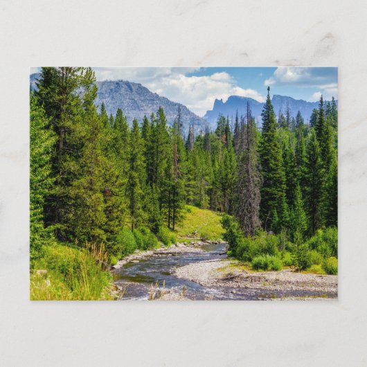 North Fork Shoshone River Blank Post Card Postkarte (Vorderseite)
