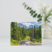 North Fork Shoshone River Blank Post Card Postkarte (Stehend Vorderseite)