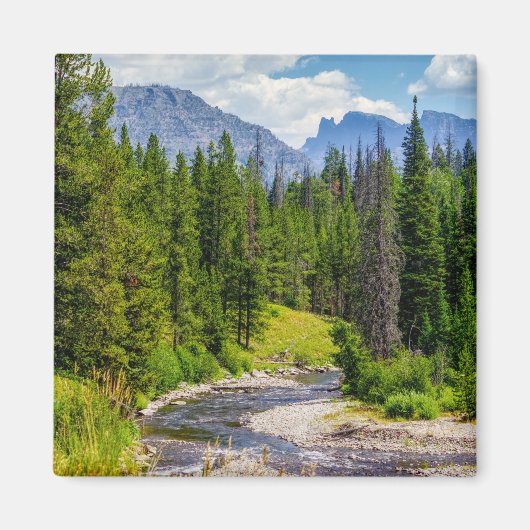 North Fork Shoshone River Magnet (Vorne)