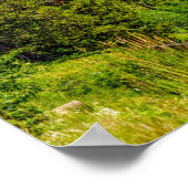 North Fork Shoshone River Poster (Ecke)