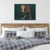 North Island Brown Kiwi Leinwanddruck (Insitu (Schlafzimmer))