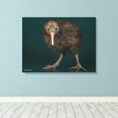 North Island Brown Kiwi Leinwanddruck (Insitu (Holzboden))