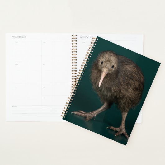 North Island Brown Kiwi Planer (Anzeige)