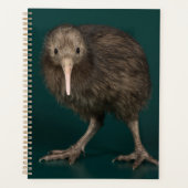 North Island Brown Kiwi Planer (Vorderseite)