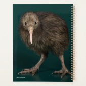 North Island Brown Kiwi Planer (Rückseite)