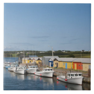 North Lake Harbour, Prince Edward Island. Fliese