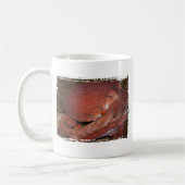 North- Pacificriese-Krake Kaffeetasse (Links)