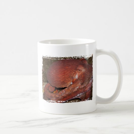 North- Pacificriese-Krake Kaffeetasse (Rechts)