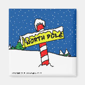 North Pole Magnet (Vorne)