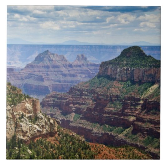 North Rim Gran Canyon - Grand Canyon National Fliese (Vorderseite)