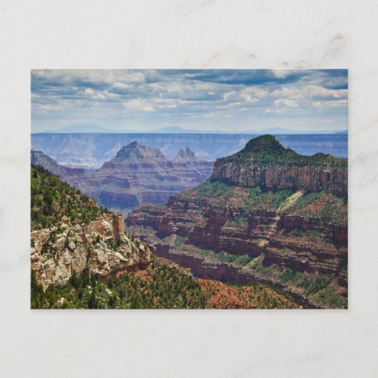 North Rim Gran Canyon - Grand Canyon National Postkarte (Vorderseite)