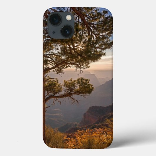 North Rim Sunrise Case-Mate iPhone Hülle (Rückseite)