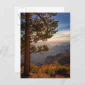 North Rim Sunrise Postkarte (Vorne/Hinten)