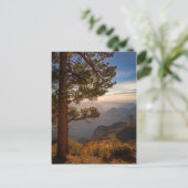 North Rim Sunrise Postkarte (Stehend Vorderseite)