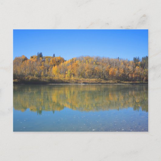 North Saskatchewan River - Herbst Postkarte (Vorderseite)