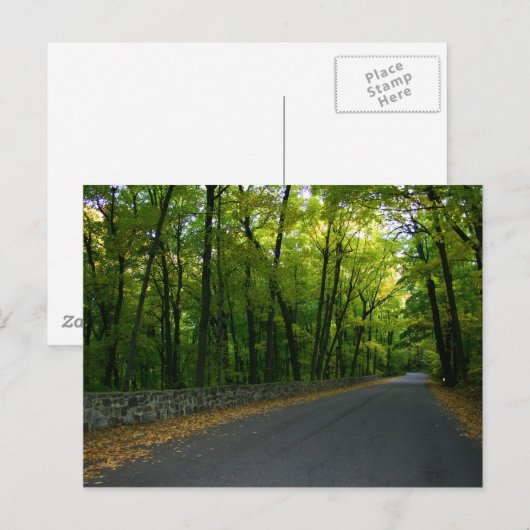 North Shore Drive Postkarte (Vorne/Hinten)