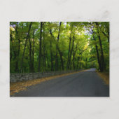 North Shore Drive Postkarte (Vorderseite)