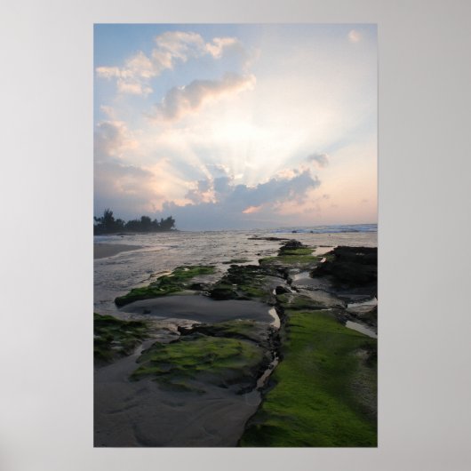 North Shore Sunset Poster (Vorne)