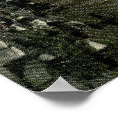 North Street, Pittsfield 1912 Vintag Poster (Ecke)