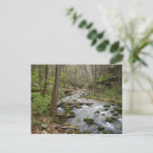 North Sylamore Creek Postkarte (Stehend Vorderseite)