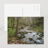 North Sylamore Creek Postkarte (Vorne/Hinten)