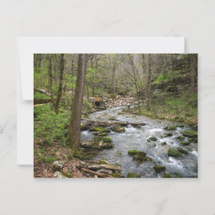 North Sylamore Creek Postkarte