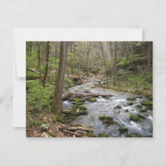 North Sylamore Creek Postkarte