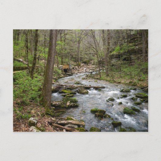 North Sylamore Creek Postkarte (Vorderseite)