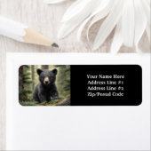 North Woods Little Black Bar Cub (Insitu)