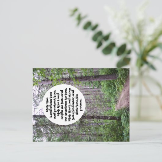 North Woods Sessing Postkarte (Stehend Vorderseite)