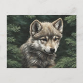 North Woods Wolf Cub Postcard Postkarte (Vorderseite)