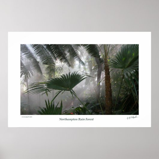Northampton Rain Forest I Poster (Vorne)