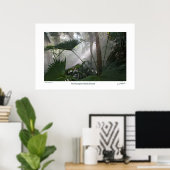 Northampton Rain Forest II Poster (Heimbüro)