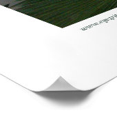 Northampton Rain Forest II Poster (Ecke)