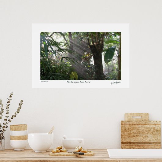 Northampton Rain Forest III Poster (Küche)