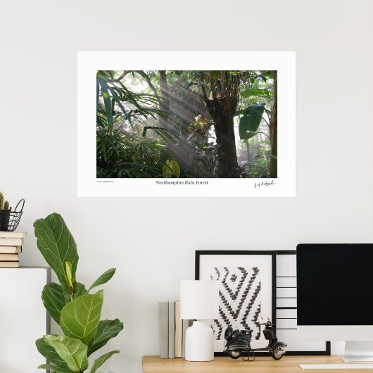 Northampton Rain Forest III Poster (Heimbüro)