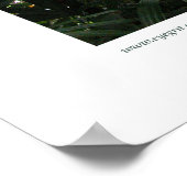 Northampton Rain Forest III Poster (Ecke)